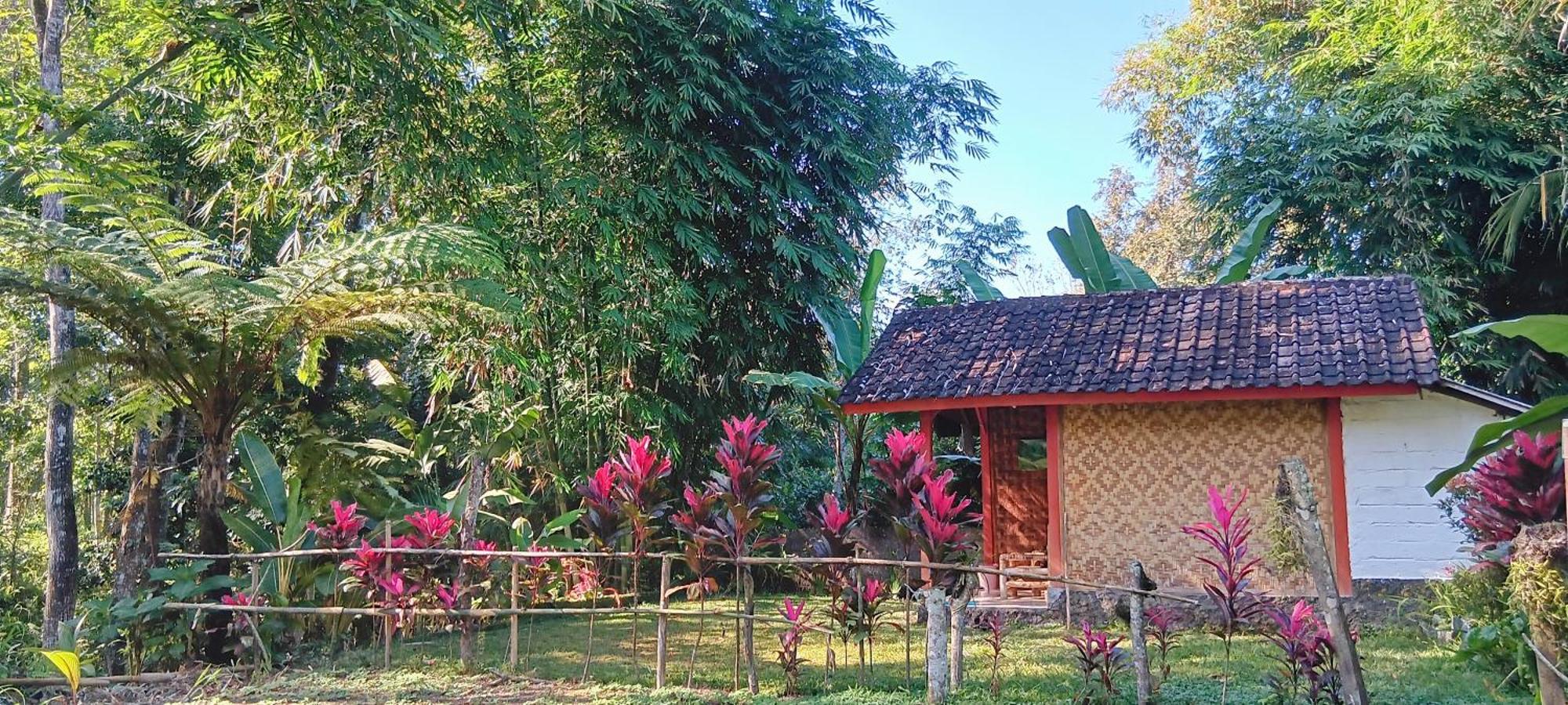 Tereng Wilis Jungle Inn Tetebatu Buitenkant foto