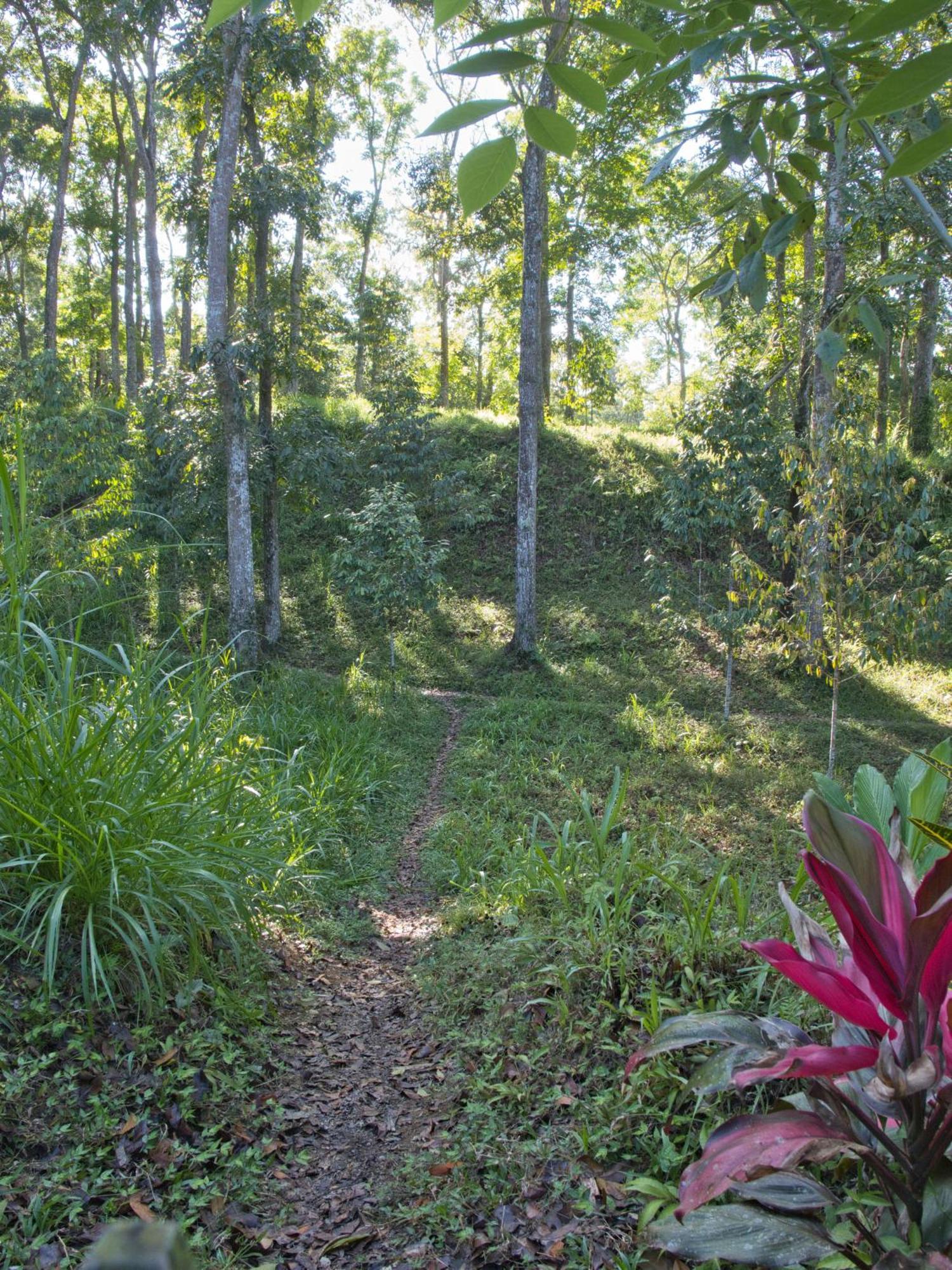Tereng Wilis Jungle Inn Tetebatu Buitenkant foto