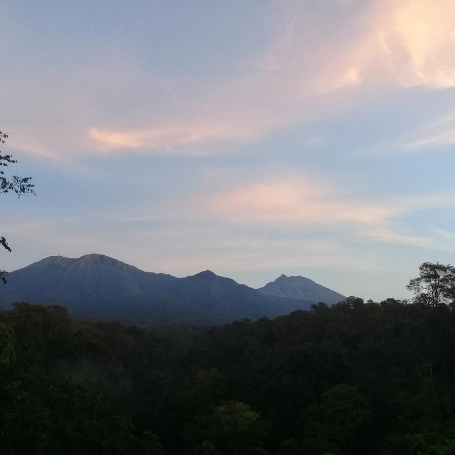 Tereng Wilis Jungle Inn Tetebatu Buitenkant foto