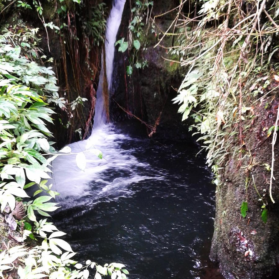 Tereng Wilis Jungle Inn Tetebatu Buitenkant foto