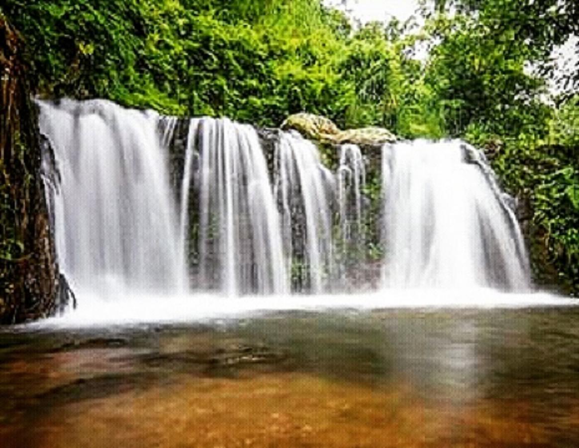 Tereng Wilis Jungle Inn Tetebatu Buitenkant foto