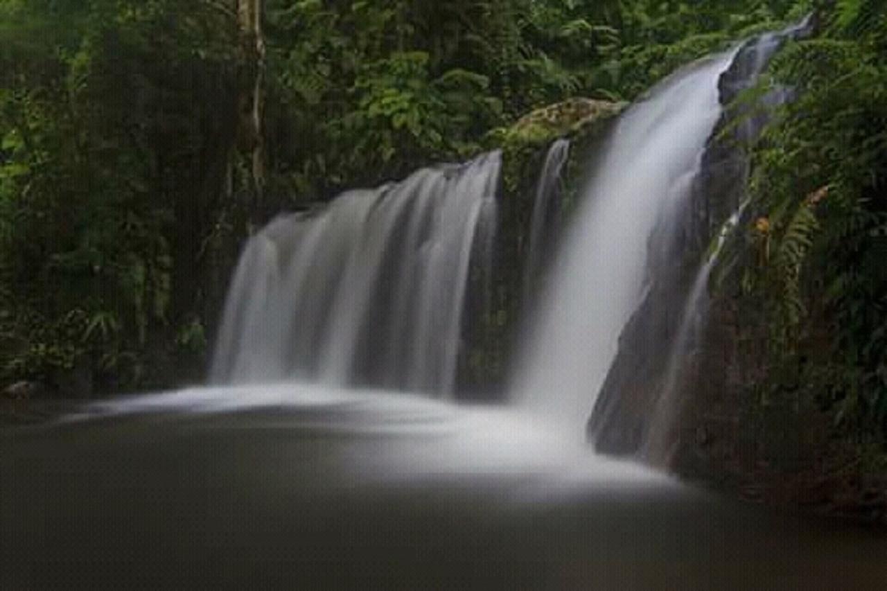 Tereng Wilis Jungle Inn Tetebatu Buitenkant foto