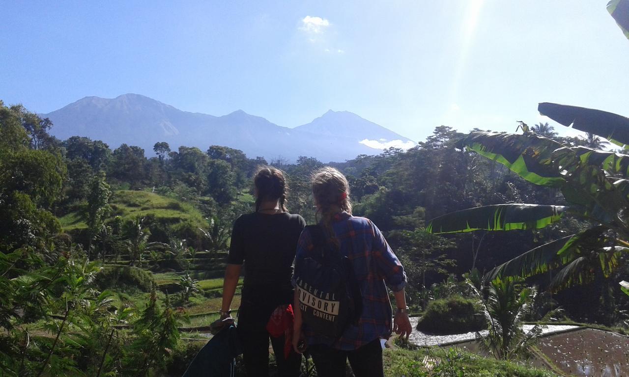 Tereng Wilis Jungle Inn Tetebatu Buitenkant foto