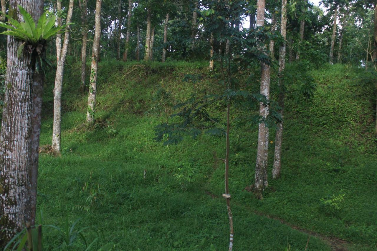 Tereng Wilis Jungle Inn Tetebatu Buitenkant foto