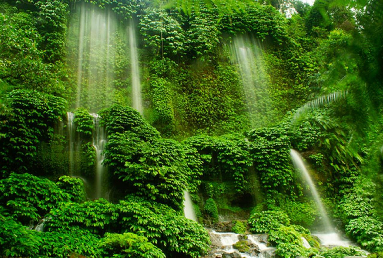 Tereng Wilis Jungle Inn Tetebatu Buitenkant foto