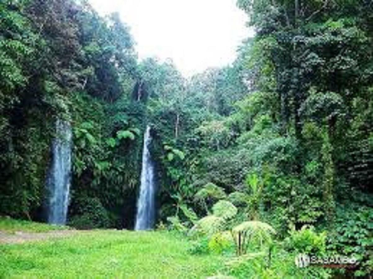 Tereng Wilis Jungle Inn Tetebatu Buitenkant foto