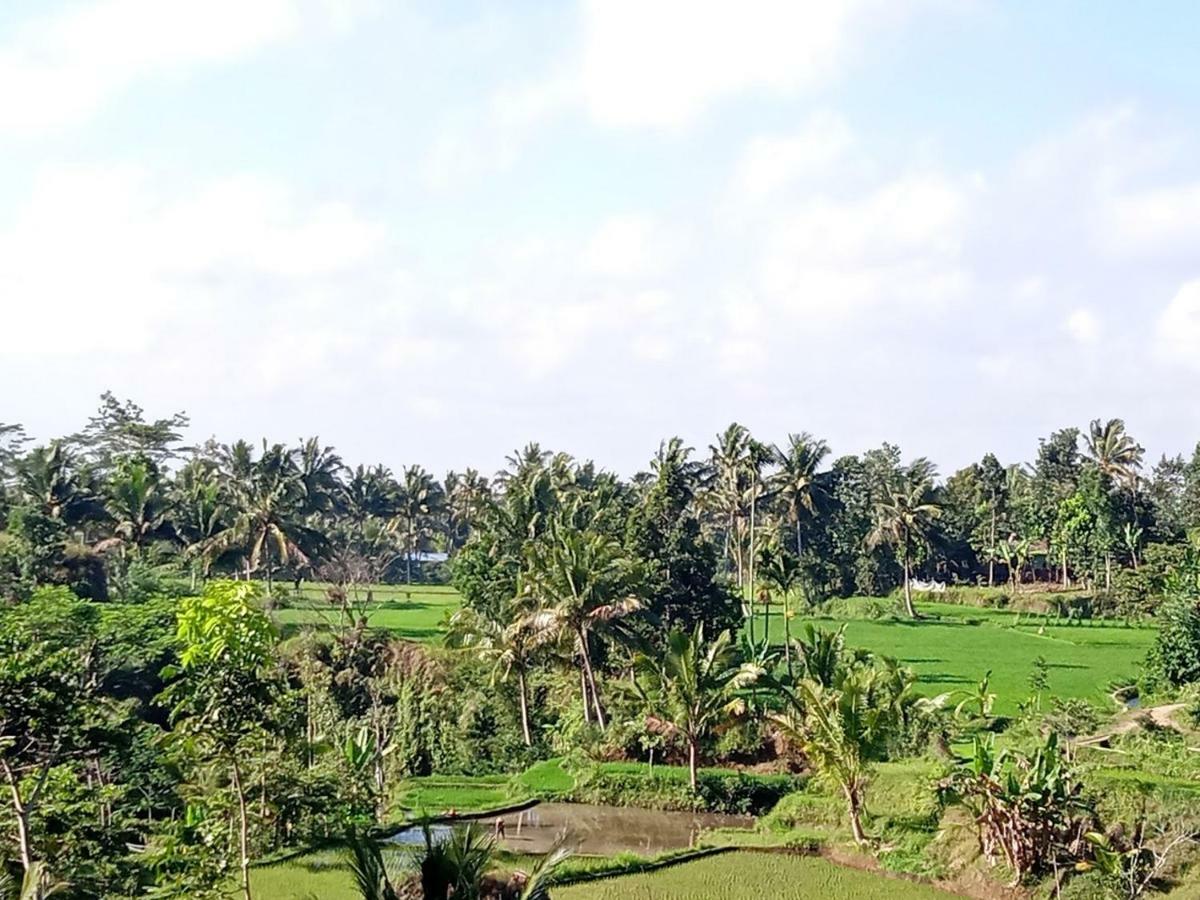Tereng Wilis Jungle Inn Tetebatu Buitenkant foto
