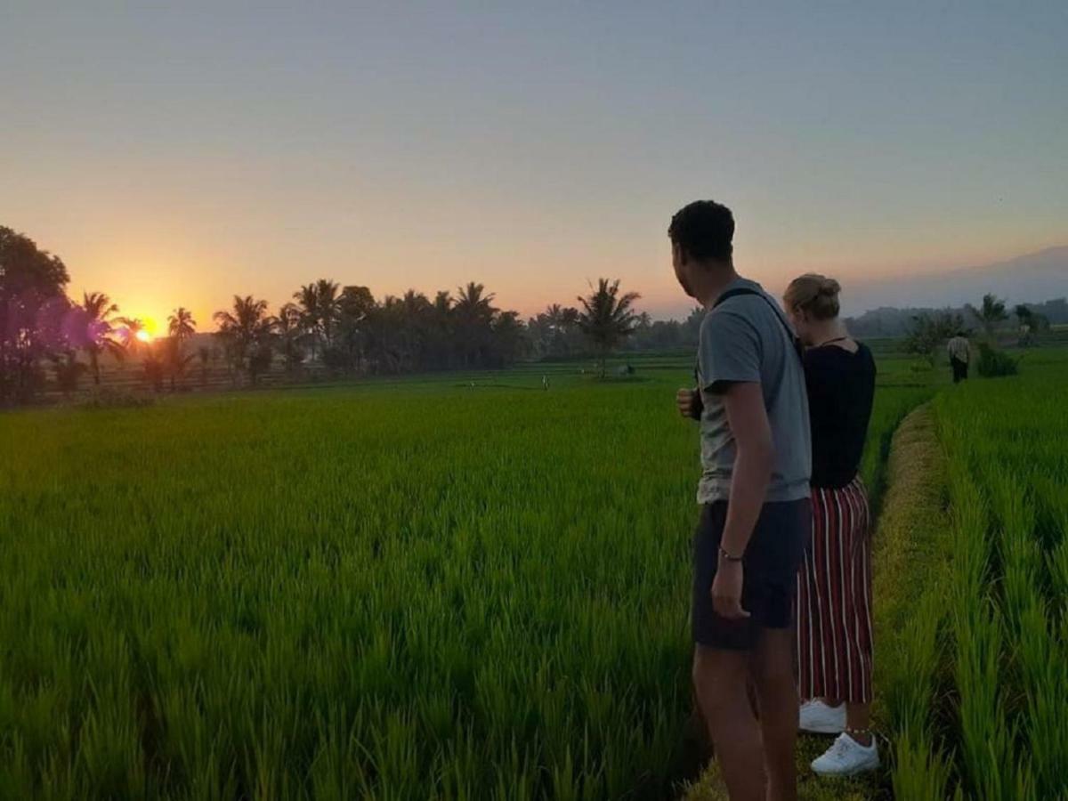 Tereng Wilis Jungle Inn Tetebatu Buitenkant foto