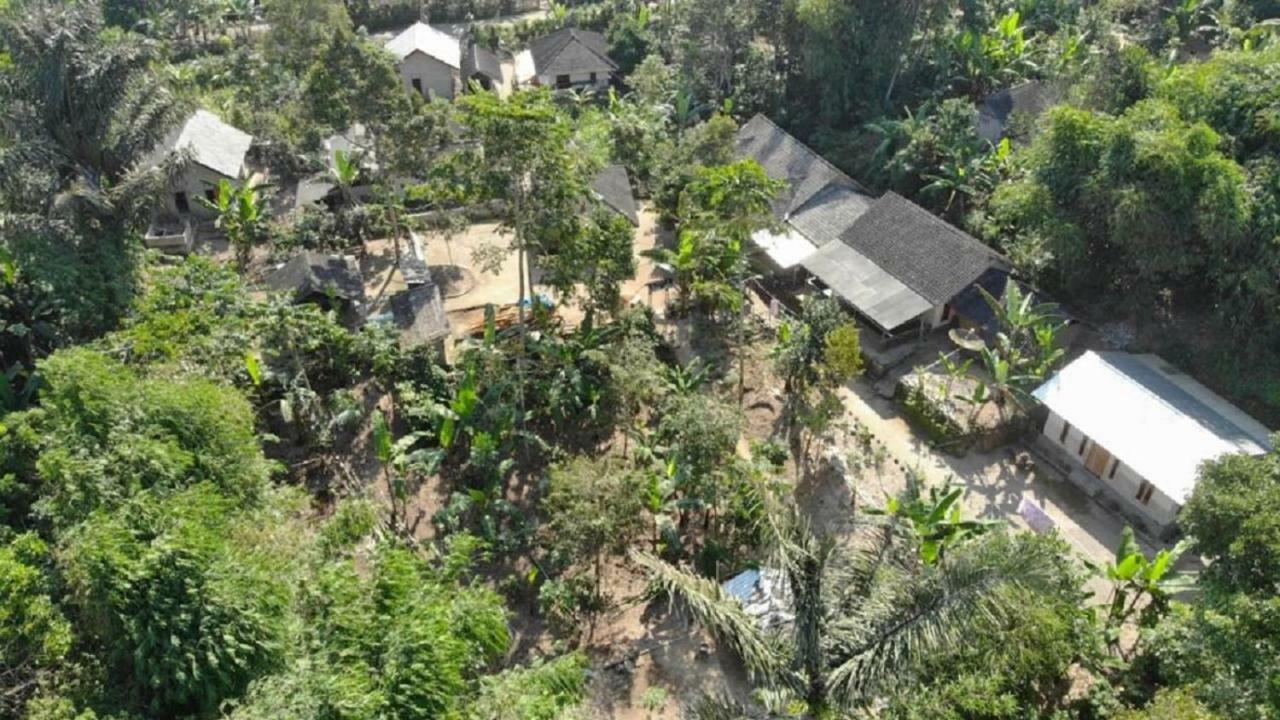 Tereng Wilis Jungle Inn Tetebatu Buitenkant foto