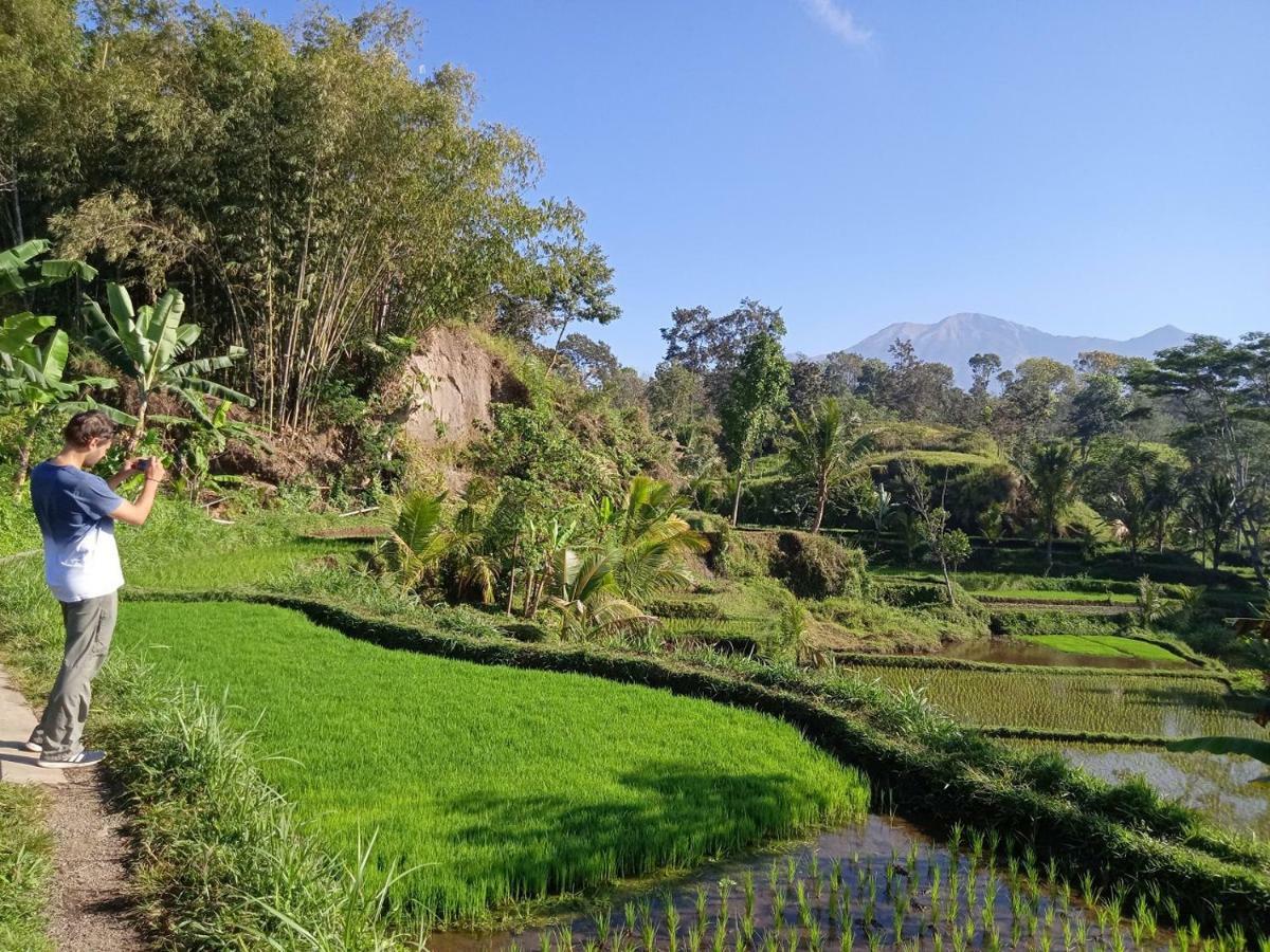 Tereng Wilis Jungle Inn Tetebatu Buitenkant foto