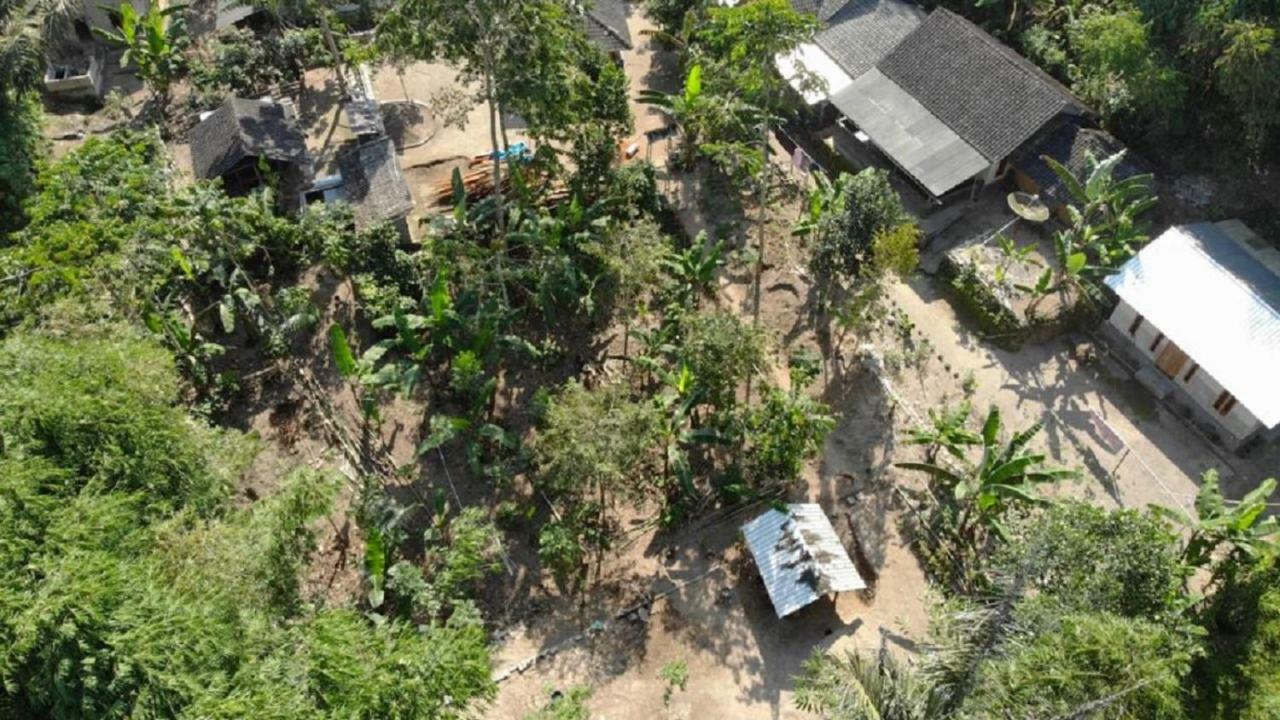 Tereng Wilis Jungle Inn Tetebatu Buitenkant foto